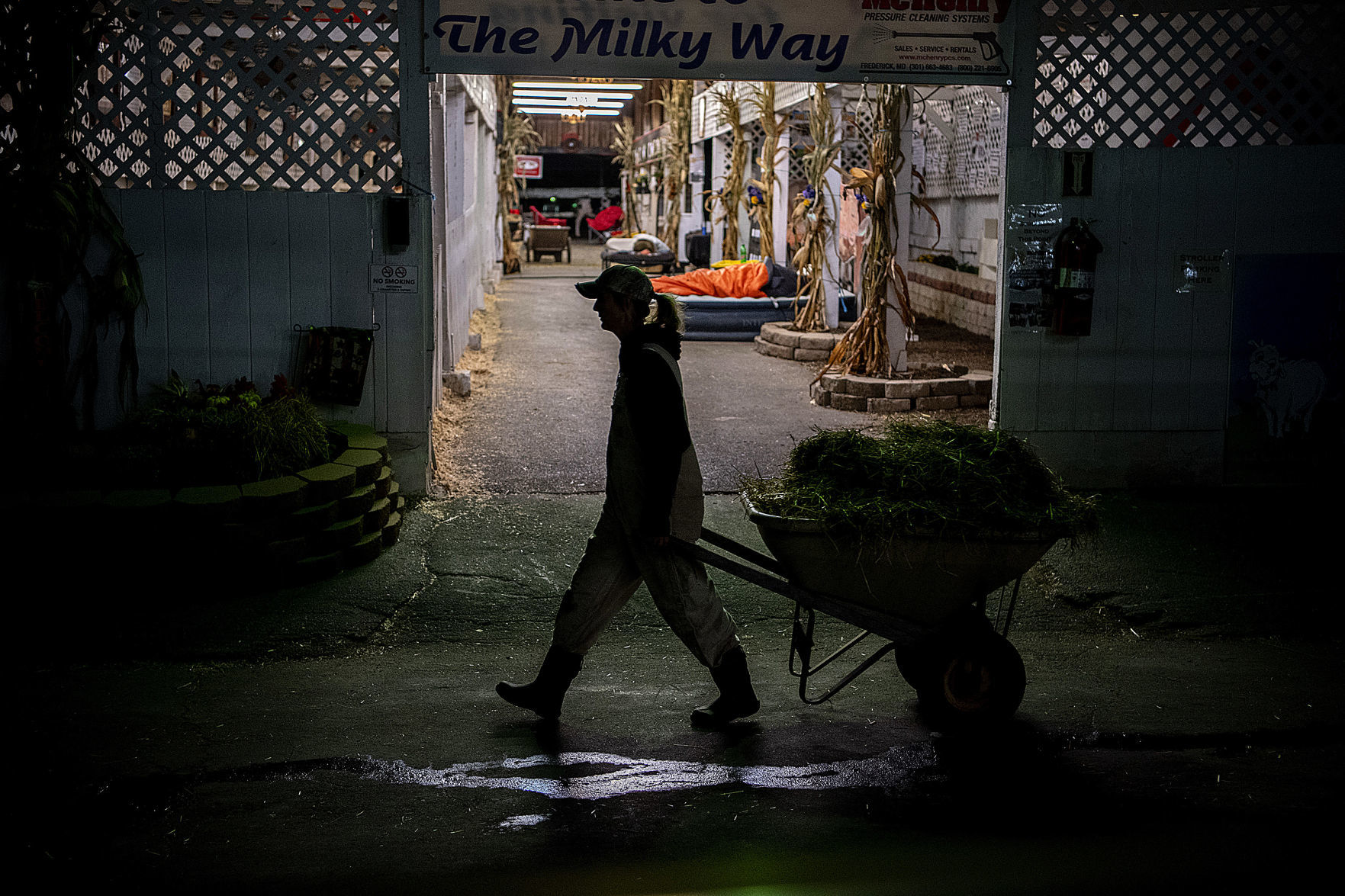 Fair Before Dawn